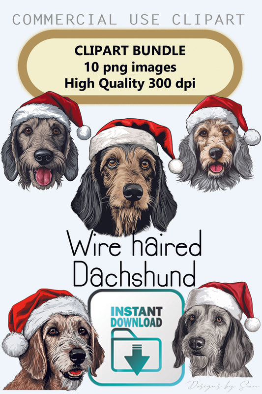 Clipart Christmas - Wire haired Dachshund - 320843