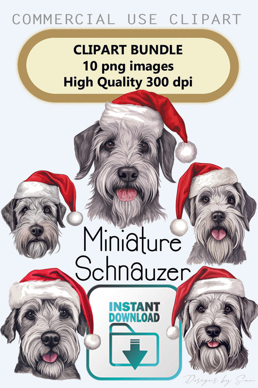 Clipart Christmas - Miniature Schnauzer - 320852